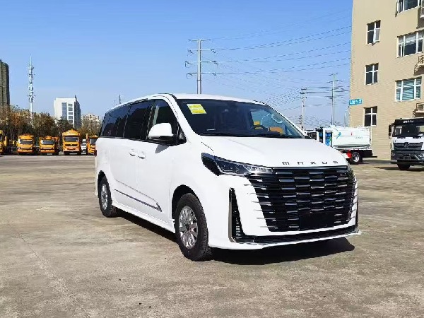 大通G10 自動擋檢測車（商務(wù)版）