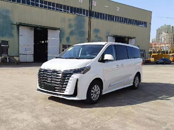 大通G10 自動(dòng)擋檢測(cè)車(chē)(商務(wù)版) 大通G10 自動(dòng)擋檢測(cè)車(chē)(商務(wù)版)