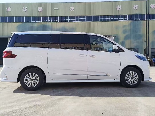 大通G10 自動(dòng)擋檢測(cè)車(chē)(商務(wù)版) 大通G10 自動(dòng)擋檢測(cè)車(chē)(商務(wù)版)