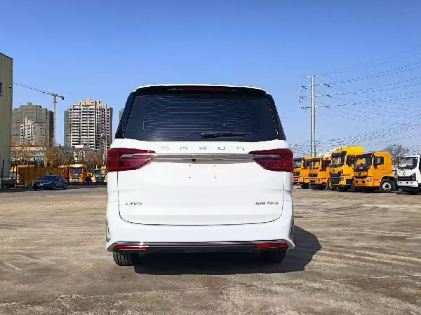 大通G10 自動(dòng)擋檢測(cè)車(chē)(商務(wù)版) 大通G10 自動(dòng)擋檢測(cè)車(chē)(商務(wù)版)